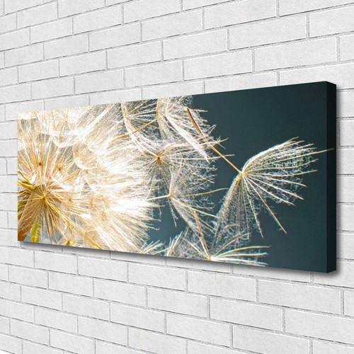 Tableau Déco Impression Sur Verre 125x50 Cm - Floral Pissenlit - Gris - Moderne - Neuf