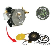 Kit Busta Revisione Riduttore Landi Renzo TYPE LSE98 LI10 POLMONE IMPIANTO MED