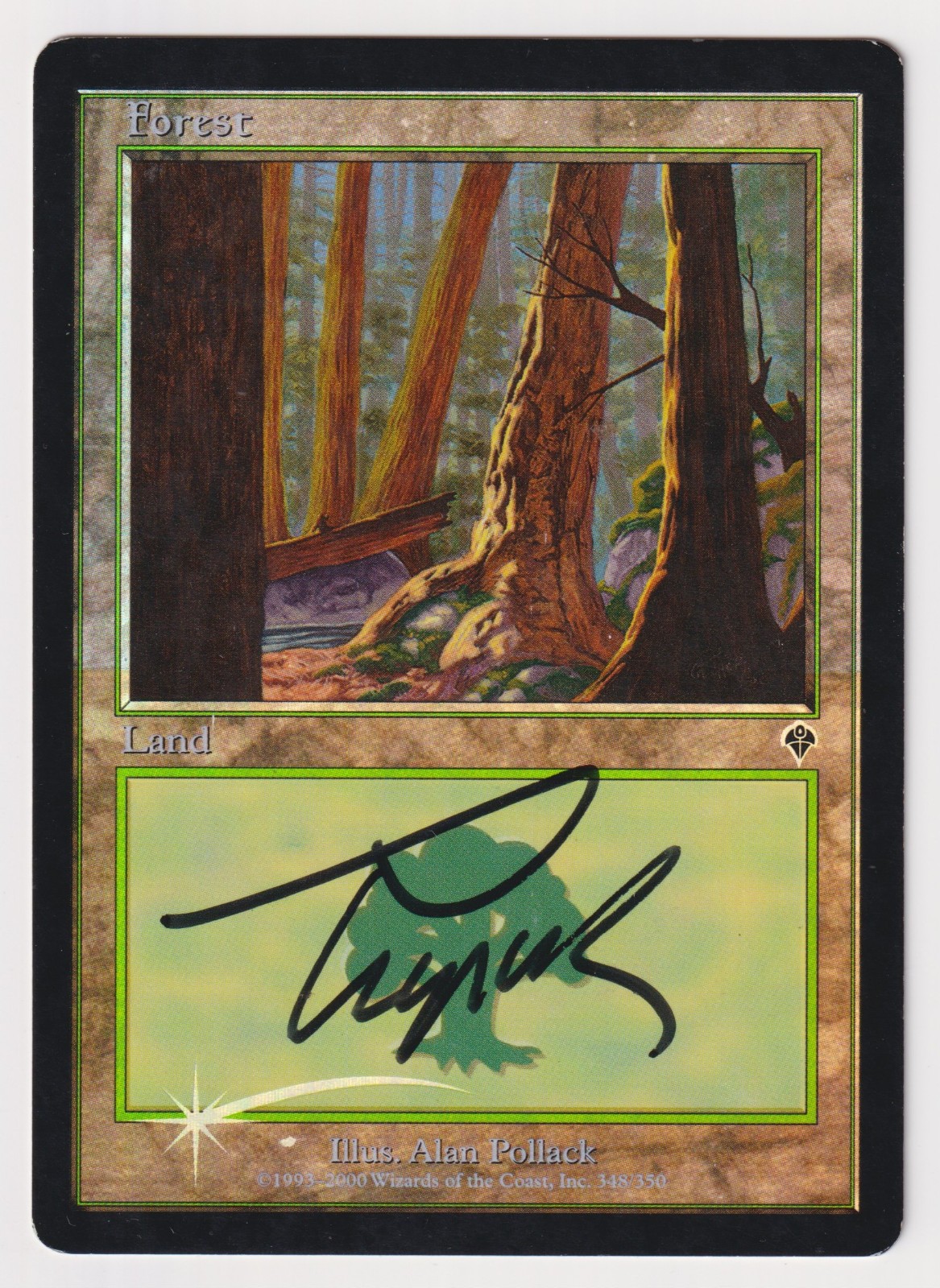 Signed FOIL Forest #348 HP Invasion Artist Alan Pollack MTG Magic Misprint Error