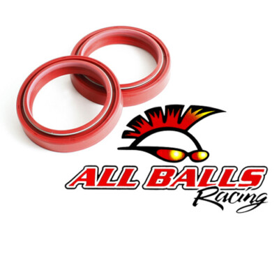 All Balls Racing Fork Oil Seal Kit for Beta EVO 125 - 55-137