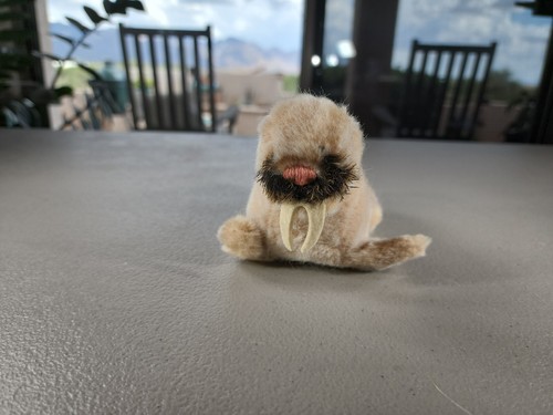 Steiff Plush Wally Walrus 6" W/ ID Button 1980s Vintage - Picture 2 of 6
