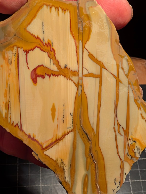 The Good Old Stuff: Owyhee jasper slab/Lot 5
