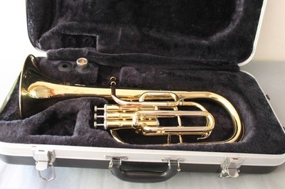 Andreas Eastman Es Tenorhorn mit Mundstück und Koffer gewartet und gereinigt