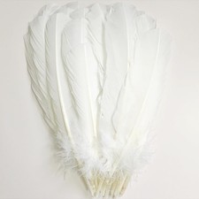 24Pcs White Turkey Feathers 10 12in Long,Beautiful Feather for Crafts 26-31cm...