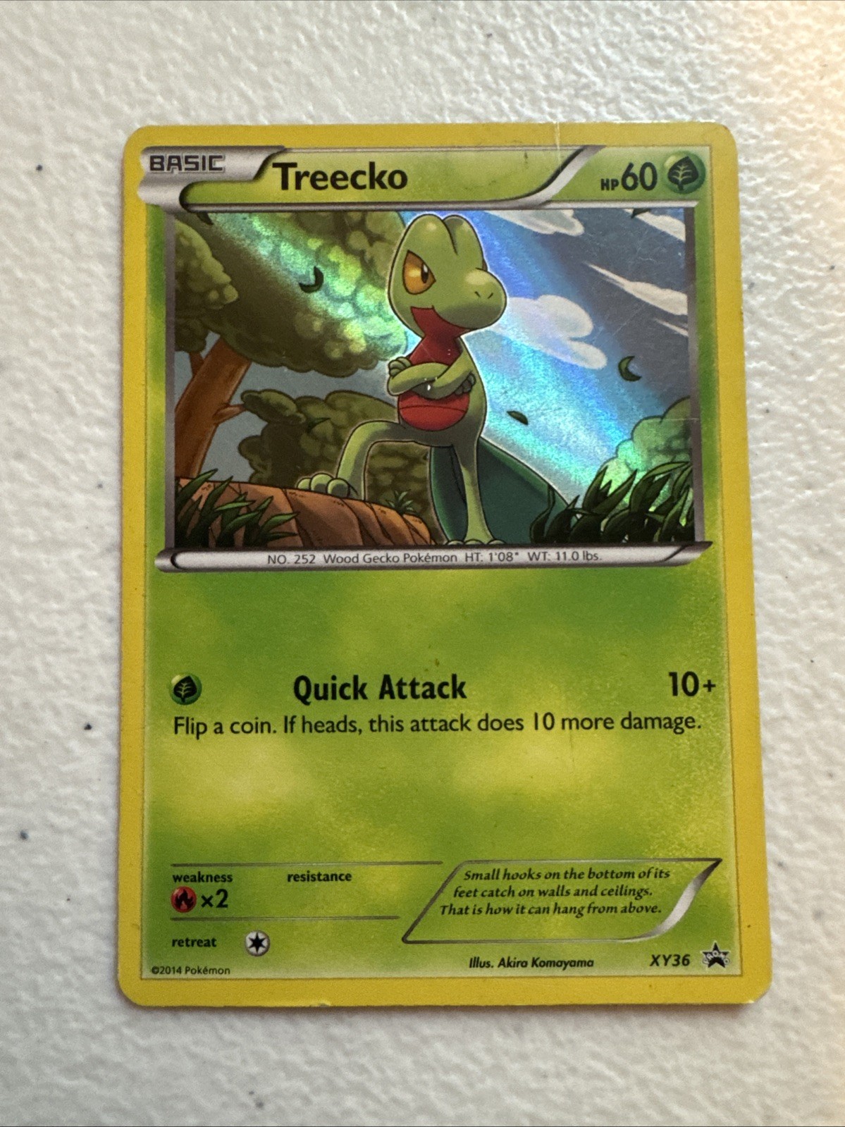 Treecko XY36 XY Holo