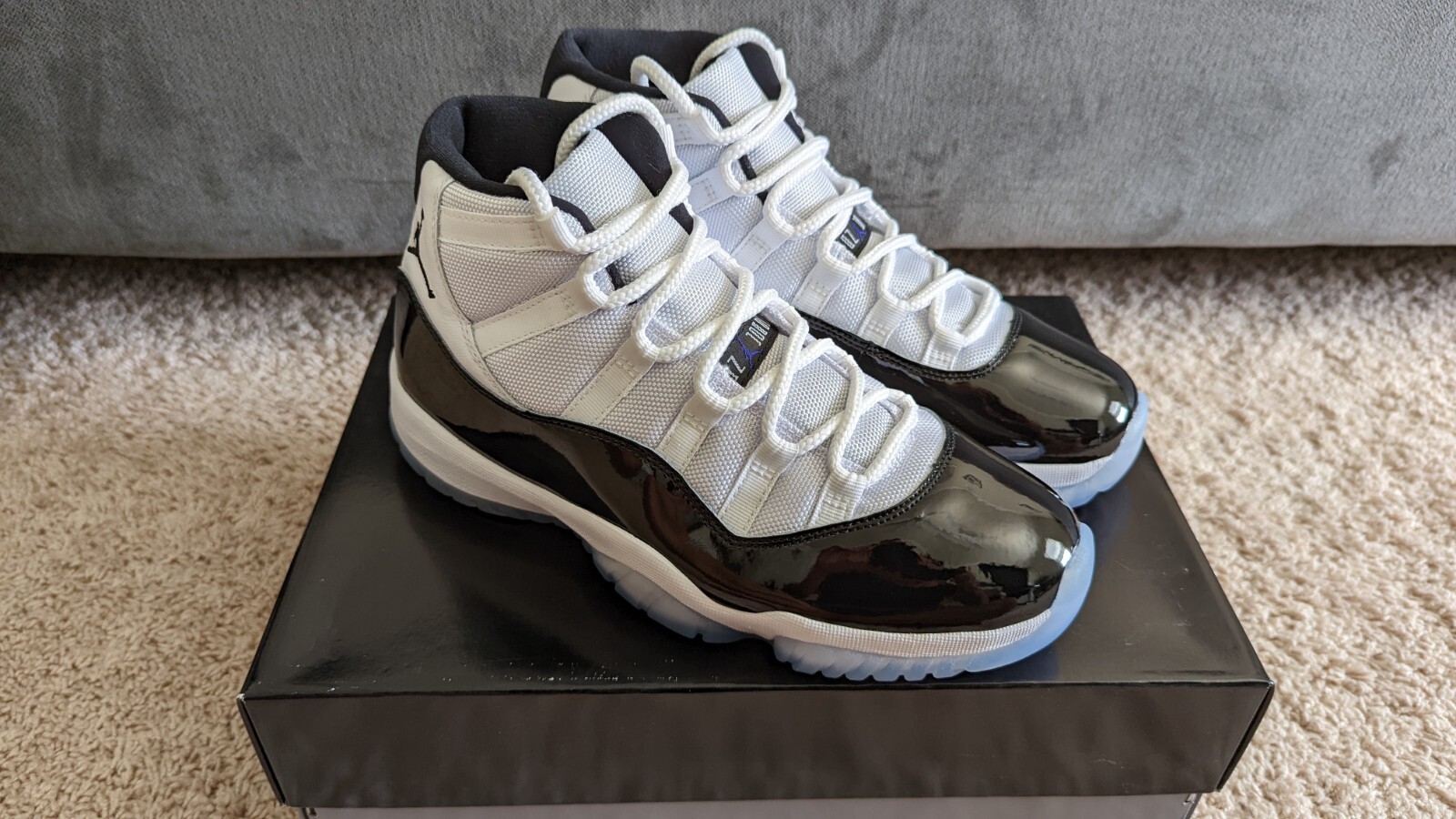concord 11 size 8