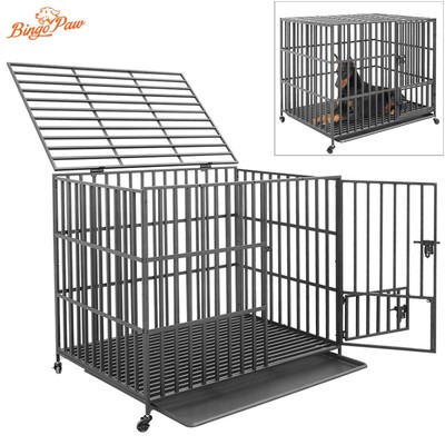 iron dog cage