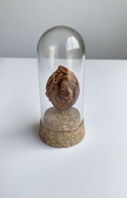 Hand - Carved Peach Pit: Arhat (Enlightenment) by Master Craftsman 水果桃核悟罗汉