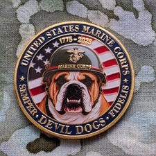 250th Anniversary US Marines Devil Dogs Challenge Commemorative Coin  Mint!