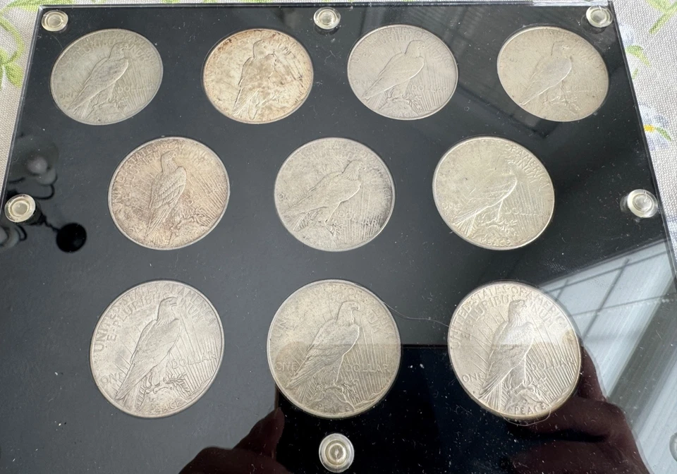 1921 - 1935 年和平银元传家宝年份套装资本持有人 VF 或更高 — 第 4/4 张图片