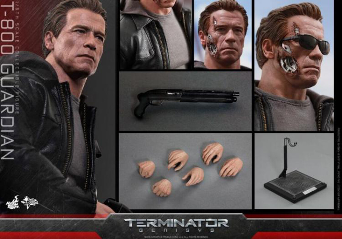 HOT TOYS MMS307 Terminator Genisys T-800 GUARDIAN 1/6 Action