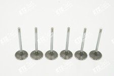 VR6 2.8 2.9 Abv AAA Aes la Soupape D'Admission Vanne Lot VW Golf T4 Randy