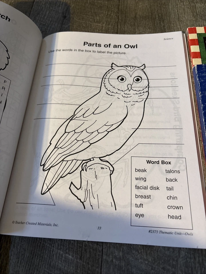 Primary Thematic Units Lot Teacher Created Resources TCR 5 books Plus Leo Lionni - Image 3 of 4