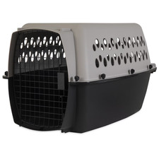 Vibrant Life Pet Portable Kennel for Dogs, Hard-Sided Travel Carrier, Durable,