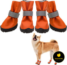 prumya dog boots