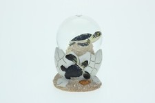 Boule À Neige Miniature Tortue De Mer
