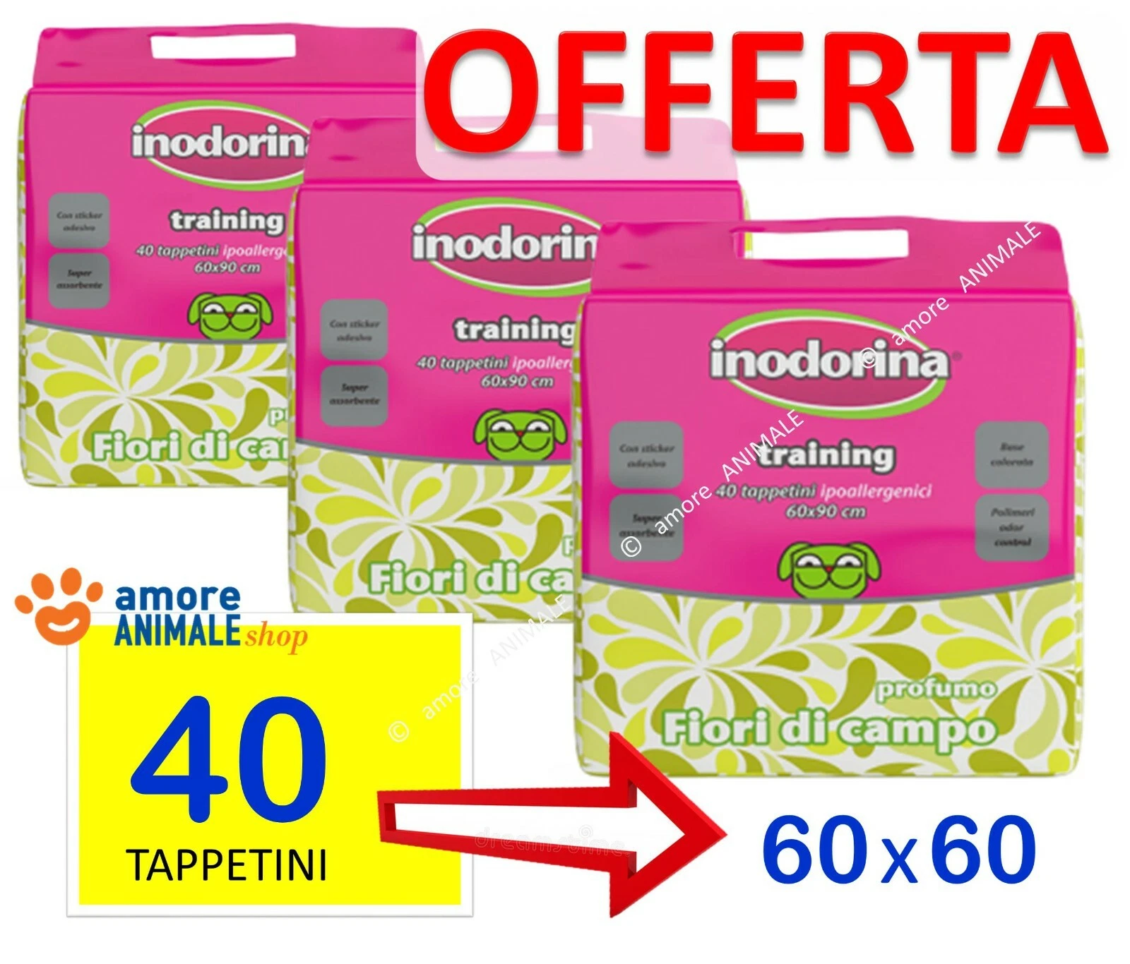 Foto 2 di 5