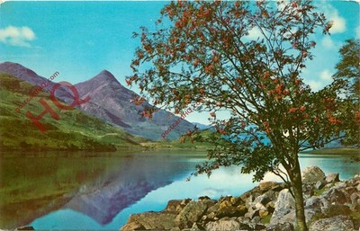 Ansichtskarte -: Loch Leven, Blick zum Pap von Glencoe