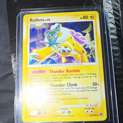 Nintendo Pokémon TCG Raikou 16/132 Diamond & Pearl Holo Rare 80 HP Basic 2007 EN