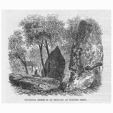 STANTON DREW Somerset Druidical Stones in an Orchard - Antique Print 1864