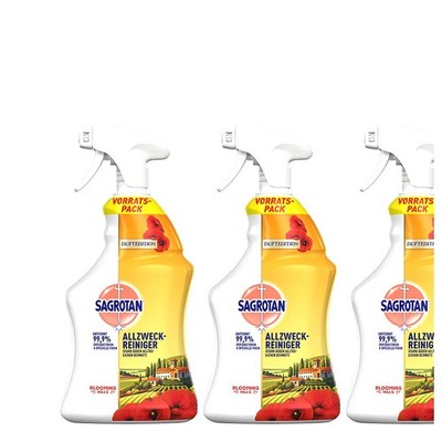3 x 1L Sagrotan Allzweckreiniger Duftedition Blooming Hills | Entfernt Bakterien