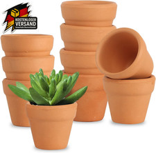 Mini Terrakotta Tontöpfe 3cm für Sukkulenten und Anzucht 10er Set