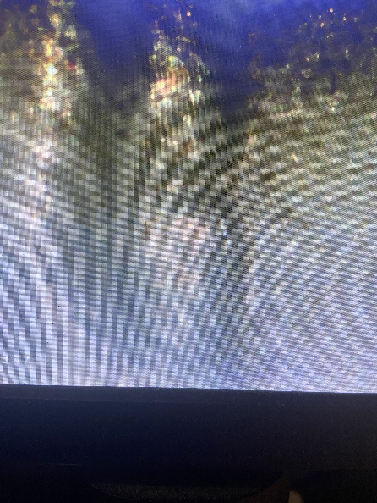 Picture 3 of 5