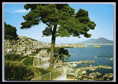 Ansichtskarte Napoli Neapel / Panorama - Italien