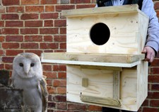 Barn Owl Nest Box - Indoor Use Only - Made & supplied by Barn Owl Centre