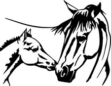 Horse Pony Wild Horses Art Wall Car Truck Window Vinyl Sticker Decal 6"