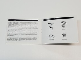 Street Fighter 2010 Authentic Original NES Nintendo Manual Only **