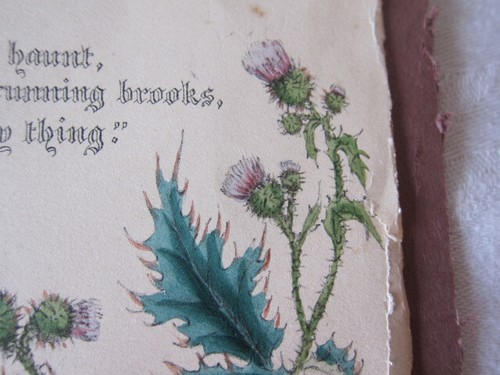 Antigua litografía coloreada a mano de Jane Elizabeth Giraud Las flores de Shakespeare - Imagen 5 de 7