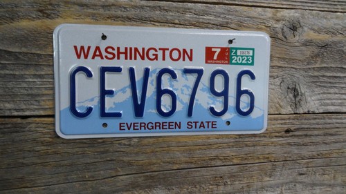 Washington Evergreen State license plate bulk listing plates picked at random!!!