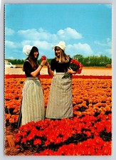 Vintage Holland Tulip Flower Fields Postcard w/ Traditional Dutch Women