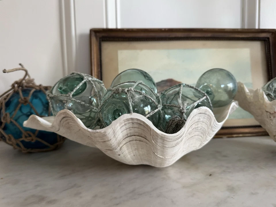 Large Clam Shell Tridacna Gigas Beautiful Specimen - Image 2 of 4