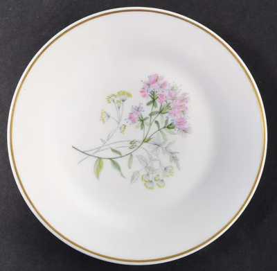 RICHARD GINORI Primavera Pink & Yellow 8” Salad Plate Fine Bone