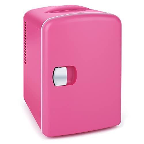 mini portable compact personal fridge