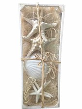 STARFISH SEA SHELLS   Ornaments Set of 6 Beach Coastal Tree Decor GIFT SET NEW