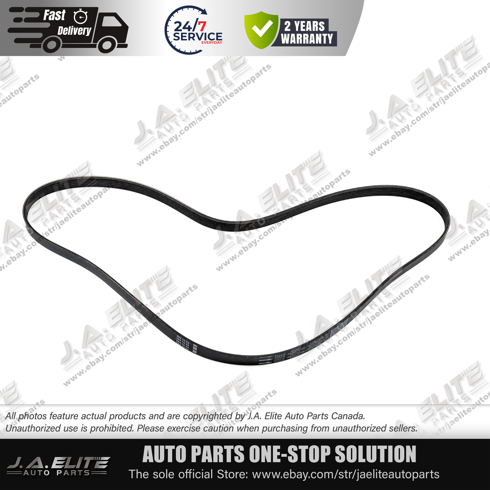 New Genuine Maserati Compressor Serpentine Belt | Quattroporte, GT Part #239616