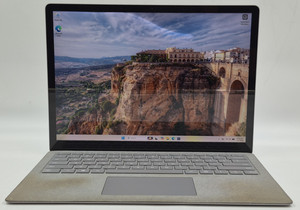 1769 Surface | eBay