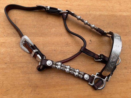 MONTANA SILVERSMITH Western Show Horse Halter ~ Mare Size ~ No Lead