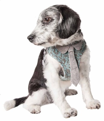   'Fidomite' Dog Harness with Built-in Designer Textured Dog Collar Necktie -...