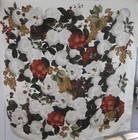 Bild 7 von 8