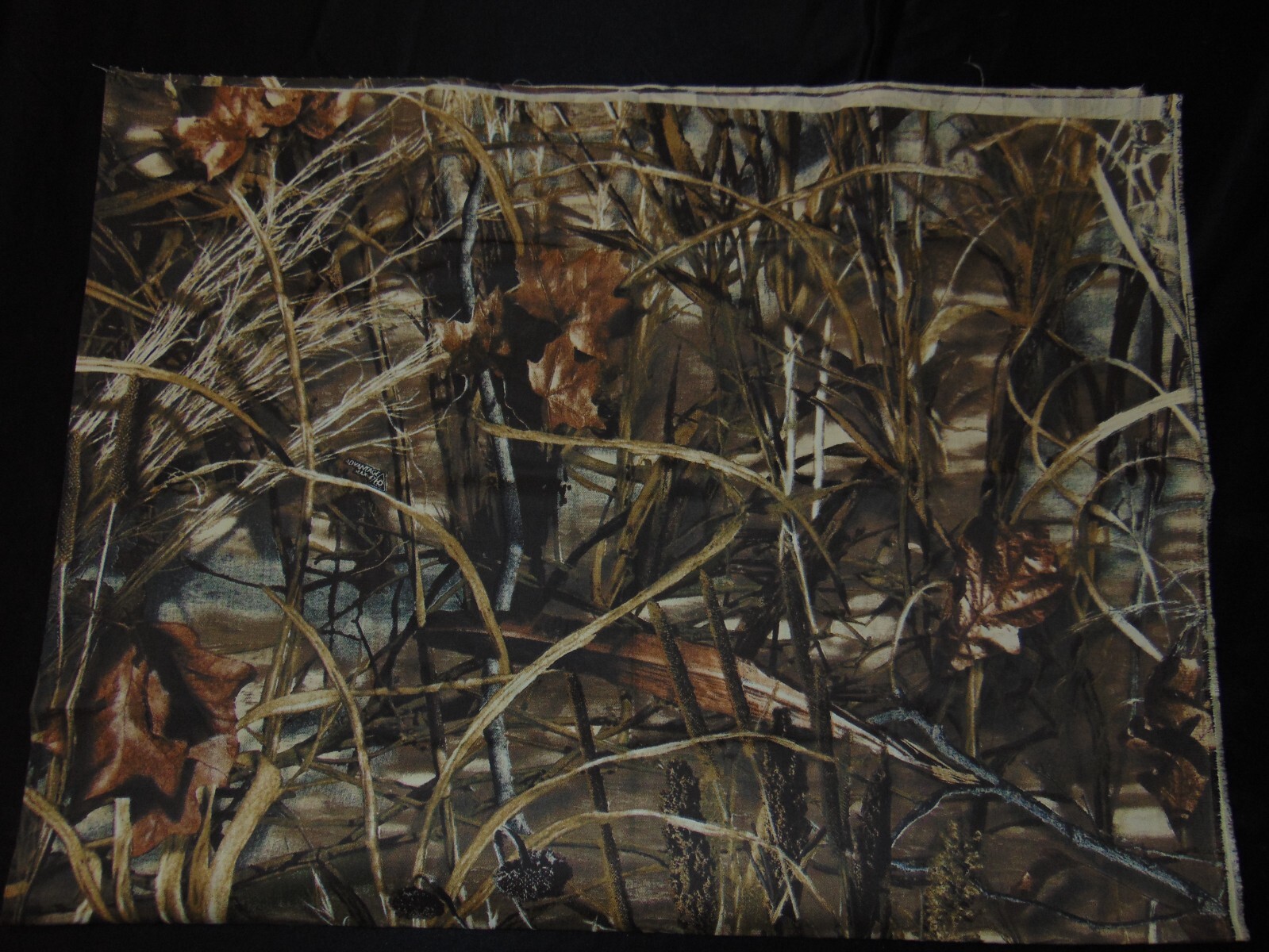 Picture 5 of 5