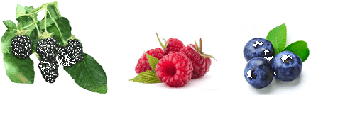 E-Liquid Marke-Take-it 30ml Variante mit Nikotin & Ohne NEU/OVP!!! - Bild 11 von 13