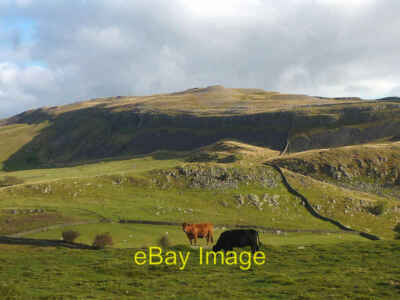 Photo 6x4 Cattle in Crummackdale Wharfe I think I met these two late last c2012