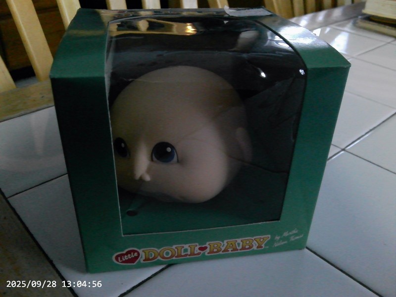 Doll Baby,VINTAGE Doll Head,1984(Martha Nelson Thomas)