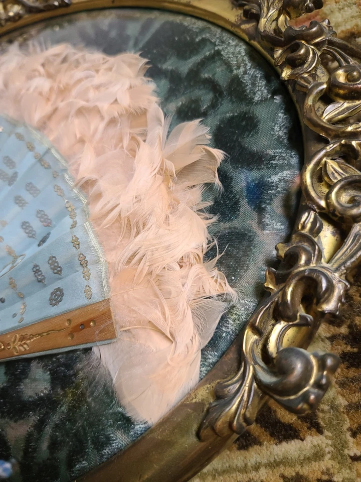 Antique French Victorian Silk Fan Feathers in Bubble Frame Fancy Boudoir Decor - Image 4 of 4