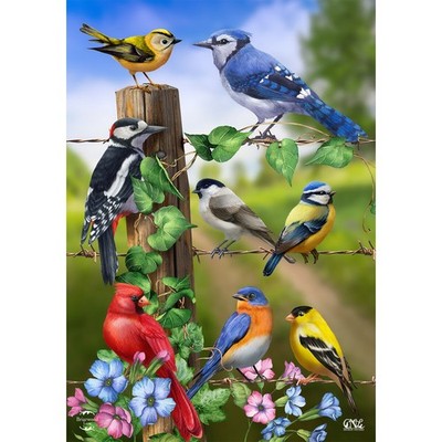 Briarwood Lane Spring Country Birds Garden Flag 12x18