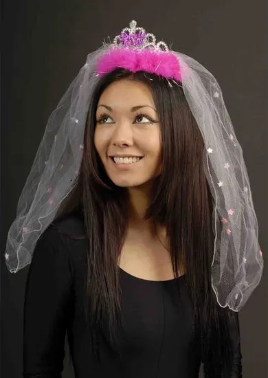 Bride to Be Hot Pink Tiara with Veil